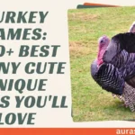 Turkey Names